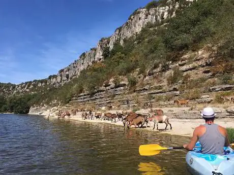 Photo de Rosières Bateaux Location Canoe Kayak Ardeche