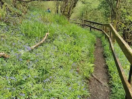 Photo de Théâtre du Gymnase Marie Bell