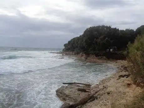 Photo de Small Dog Beach