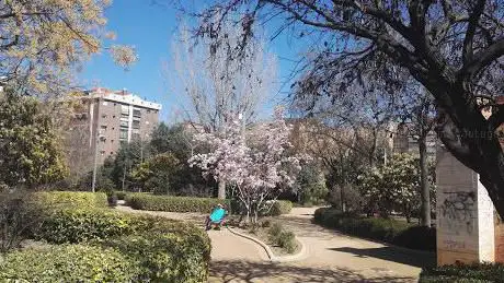 Photo de Parque Carlos Cano