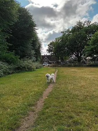 Photo de Putney Common