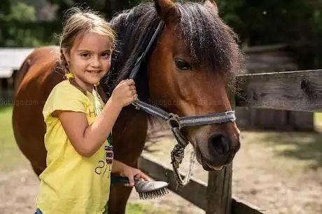 Photo de Trattlers Ponyfarm