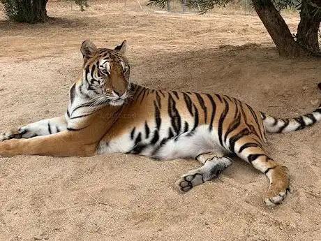 Photo de Fauna y Acción SL