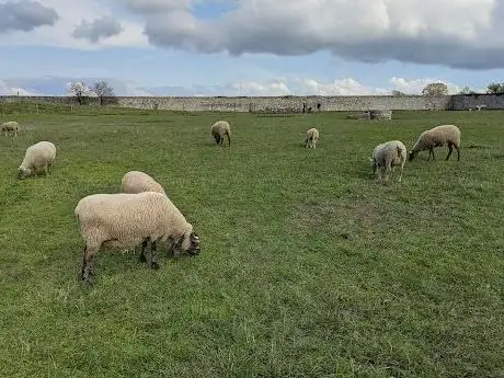 Photo of Les Fermes de Gally - Ferme Pédagogique