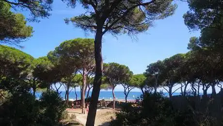 Photo de Bagni La Pineta