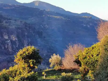 Photo de Viewpoint