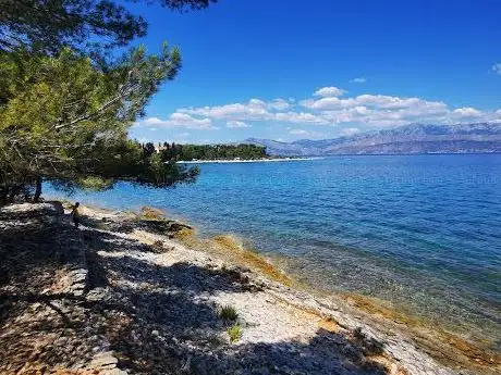 Photo de Plaža Vela Luka