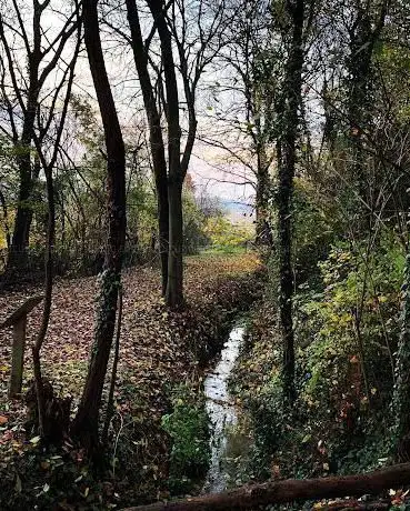 Photo de Bosco della Fratta