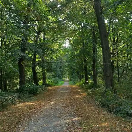 Photo de Stadsbos Deinze of Goed te Parijs