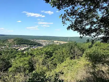 Photo de Réserve Naturelle de Vireux-Molhain - Mur des Douani