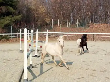 Photo de Erbaluce Riding Club