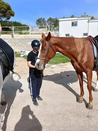 Photo de Asociación ecuestre de Blanes