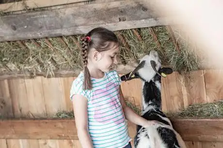 Photo de Mini Zoo