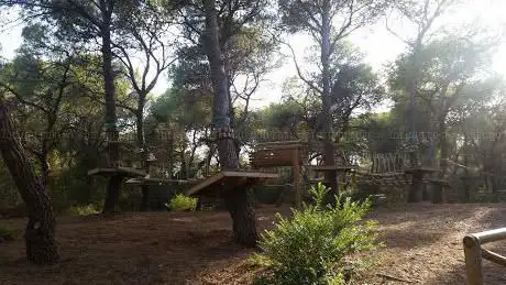 Photo de Bosco Il Pineto