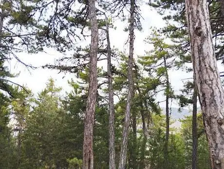 Photo de Atatürk Parkı