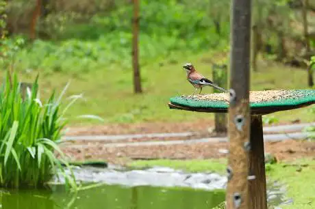 Photo de The Nature Centre