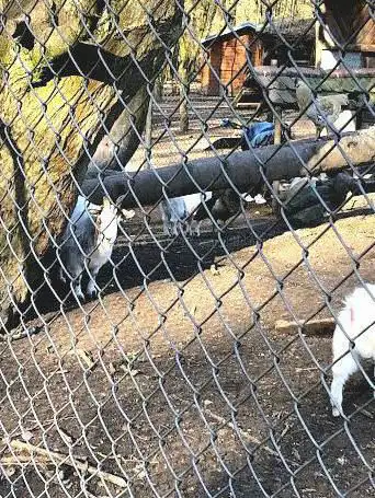 Foto de Station des oiseaux