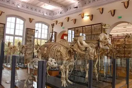 Photo of Musée Fragonard de l'École vétérinaire de Maisons-Alfort