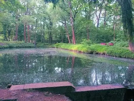 Photo de water pond