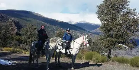 Photo de Riding Andalucia
