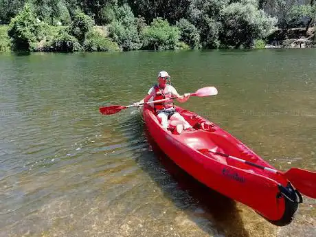 Photo de Castor Canoë