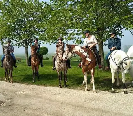 Photo de L'Equi-Libre & Cau