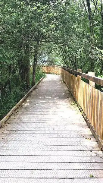 Photo de Réserve naturelle du bout du lac (l'ire)
