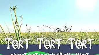 Photo de Trot Trot Trot