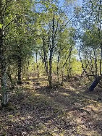 Narraghmore Nature Reserve