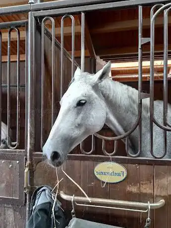 Photo de Centro Equestre il Casale A. S. D.