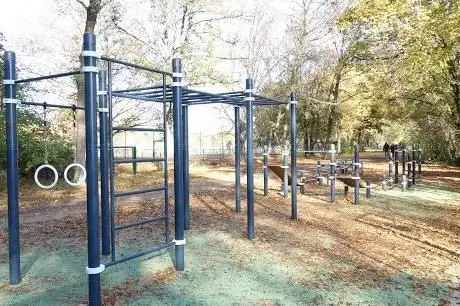 Photo de Calisthenics-Dammerstock