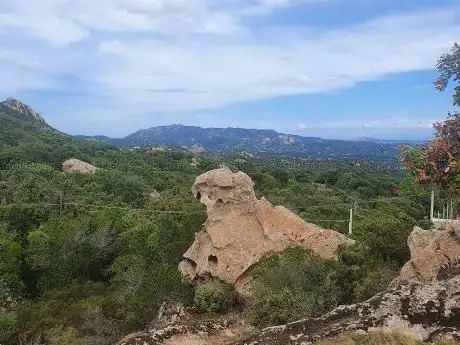 Photo de Campo Sportivo Comunale San Pantaleo