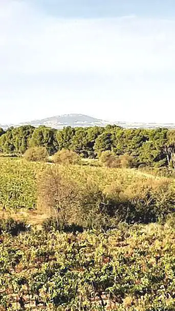 Photo de Randonnée de la Via Domitia