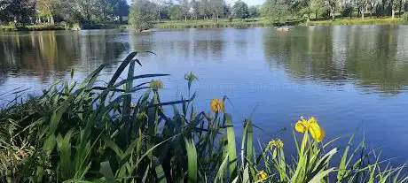 Photo de Étang de la Fonderie