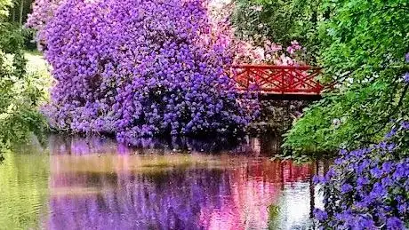 Photo of Le Parc du Château de Chantore