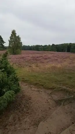 Photo de Löntroper Heide e.V.