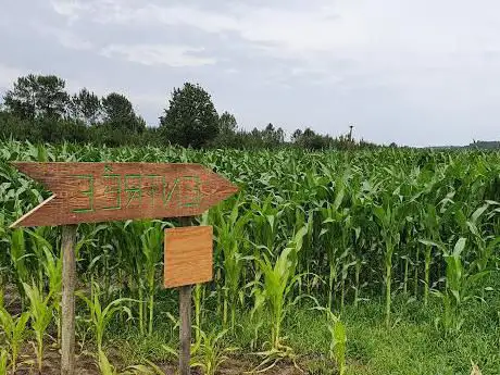 Photo de Lanès Aventures