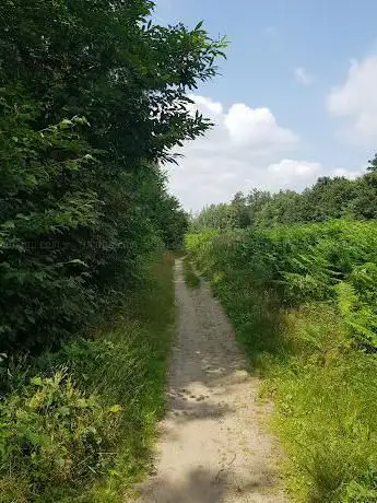 Photo de Forêt domaniale de Flines-lès-Mortagne