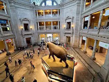 Photo de Smithsonian National Museum of Natural History