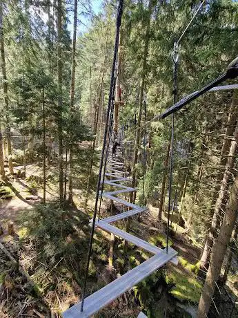 Photo de Organic Adventure Park