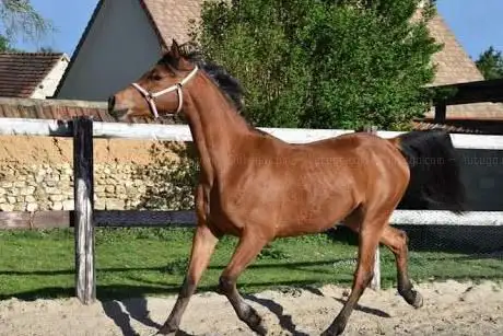Photo de Écurie Eurosport