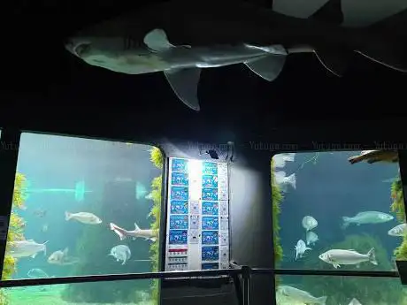 Photo de Aquarium De Grove
