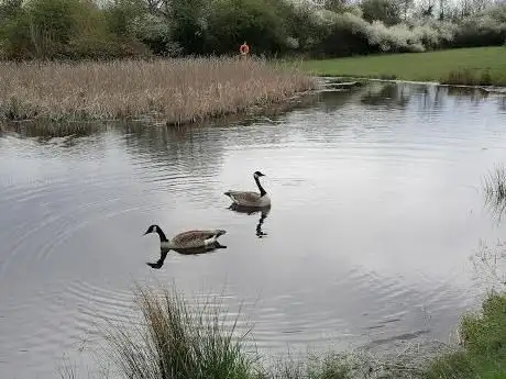 Photo de Rushley Park