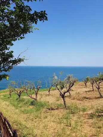 Photo de Riserva Naturale Regionale Ripari di Giobbe