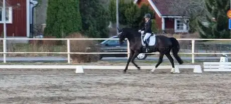 Photo de Surahammars Ryttarförening