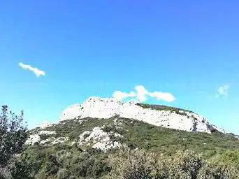 Foto de Champ coquelicots