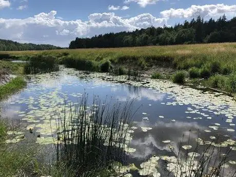 Photo de Hågaån