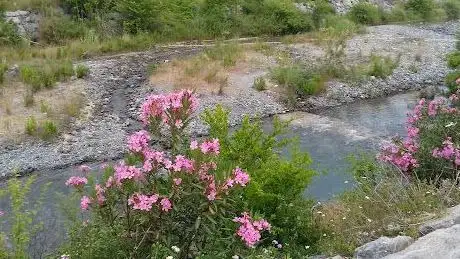 Photo de Yeşil Alan