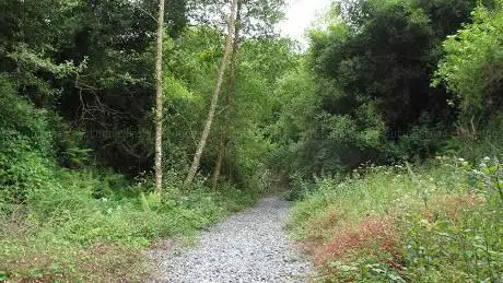 Photo de Túnel VÃÂa Muerta Uxes-Orro