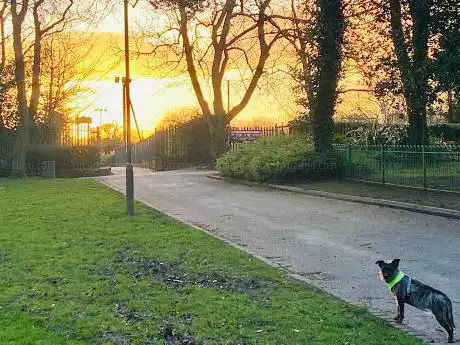 Photo de Newton-le-Willows Skatepark